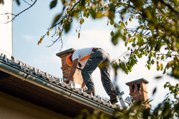 Best Slate Roofing Contractor  in Cornell, WI