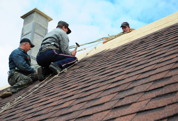 Best Local Roofing Companies  in Cornell, WI